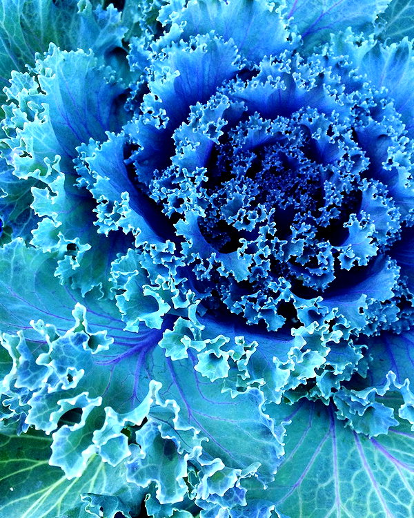 hallucineon instagram image archive image