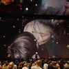 adele Altpins Profile Picture