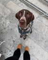 mishel_d_ Altpins Profile Picture