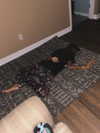 kimberr_0000 Altpins Profile Picture