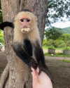 gabrielabee Altpins Profile Picture