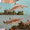 nishymoon_ Altpins Profile Picture