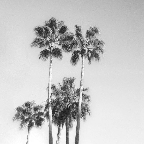 zoeliss instagram image archive image