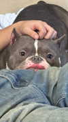 marilyn_damaged Altpins Profile Picture