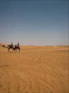 seline_paz Altpins Profile Picture