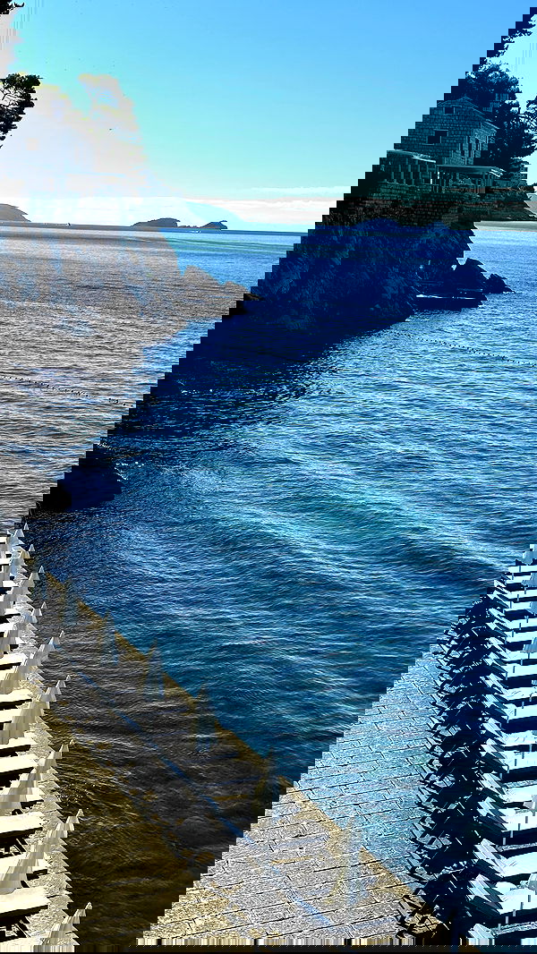 taylor.creeden taylor.creeden archive image