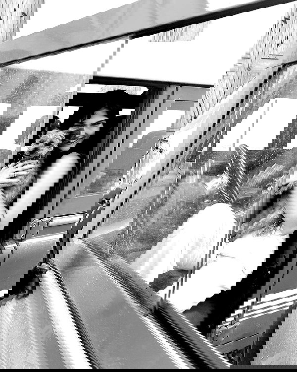 taylor.creeden taylor.creeden archive image