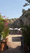 dina_shrago Altpins Profile Picture