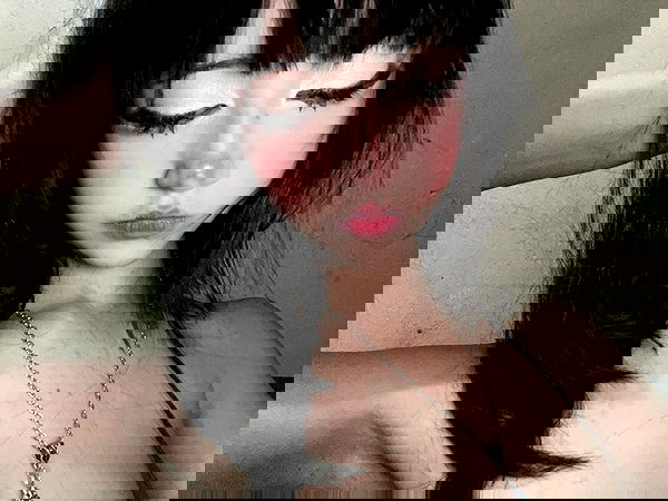 starttles starttles archive image