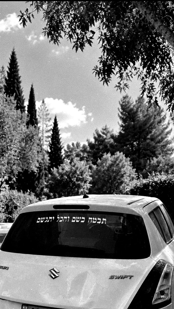 Archived image from @tirtza_cohen on Instagram