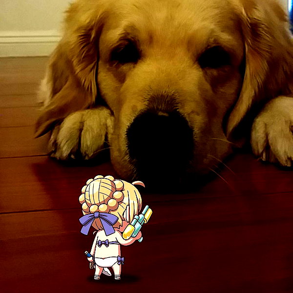 muze instagram image archive image