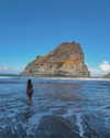 vanessa.rhd Altpins Profile Picture