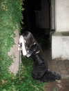 my__829 Altpins Profile Picture