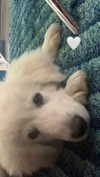 analuvillarreal Altpins Profile Picture