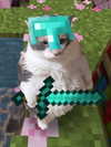 milkiwifey Altpins Profile Picture