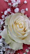cristeldiiulio Altpins Profile Picture