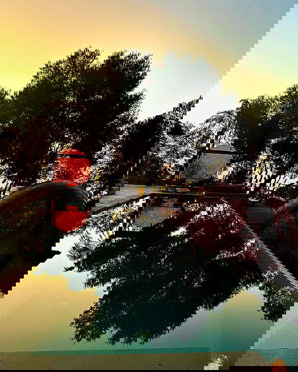 taylor.creeden taylor.creeden archive image