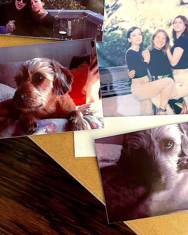 alexandradaddario instagram image archive image