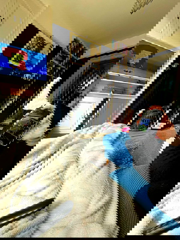 kitty.elliss kitty.elliss archive image