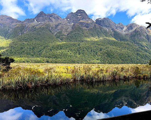 maori_cohen instagram image archive image