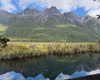 maori_cohen Altpins Profile Picture