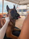 sophiecharlotth Altpins Profile Picture