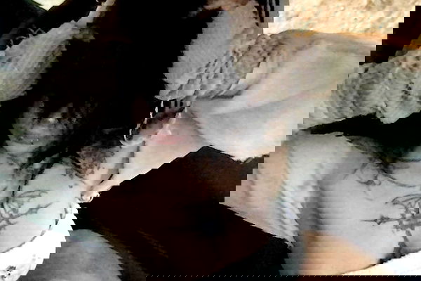 zommmbri zommmbri archive image