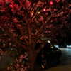 v.qx Altpins Profile Picture