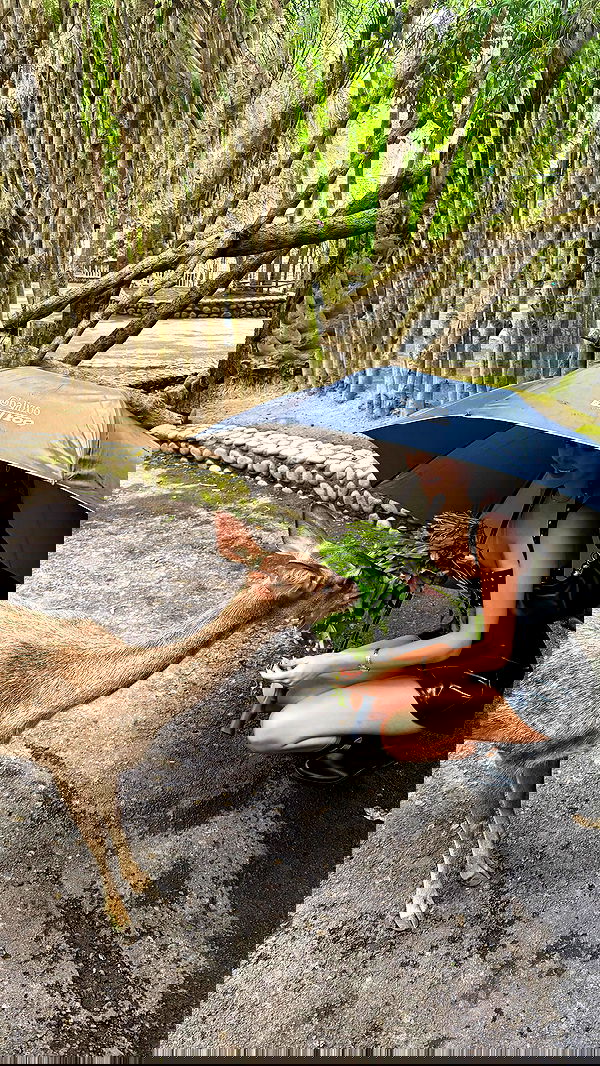 taylor.creeden taylor.creeden archive image