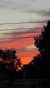 _._dianush._ Altpins Profile Picture