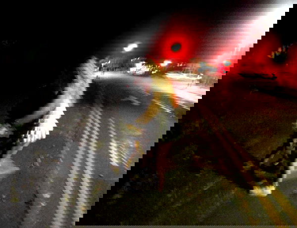 kitty.elliss kitty.elliss archive image