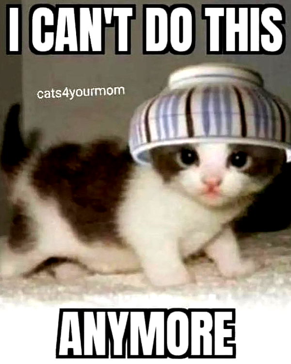 catl0verr69 instagram image archive image