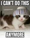 catl0verr69 Altpins Profile Picture
