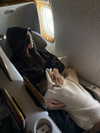 leahhalton Altpins Profile Picture