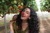 noy.razz Altpins Profile Picture