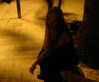 meiiisame Altpins Profile Picture
