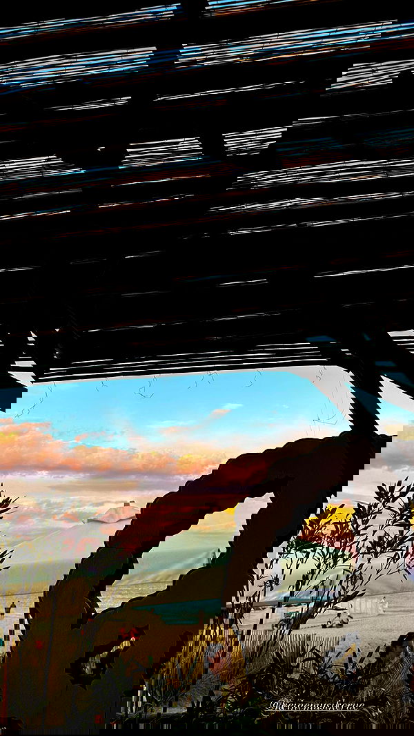 taylor.creeden taylor.creeden archive image