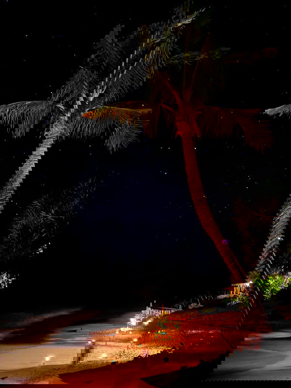 taylor.creeden taylor.creeden archive image