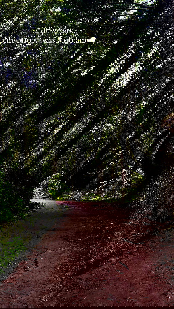 taylor.creeden taylor.creeden archive image