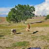 muze Altpins Profile Picture