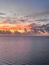 _m_a_y_c_ Altpins Profile Picture