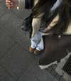 zoeliss Altpins Profile Picture