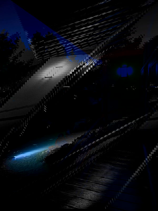 txxwwq txxwwq archive image