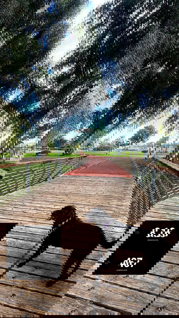 talweisswasser talweisswasser archive image