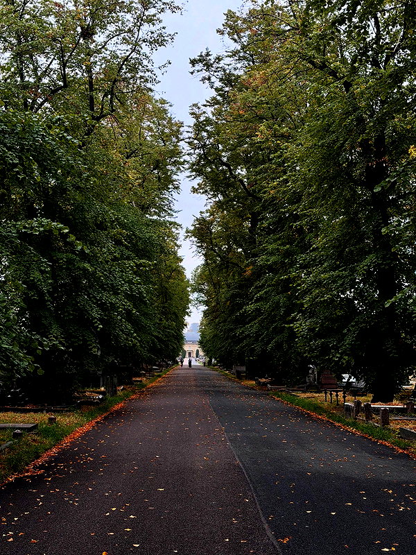 sullivang_ instagram image archive image