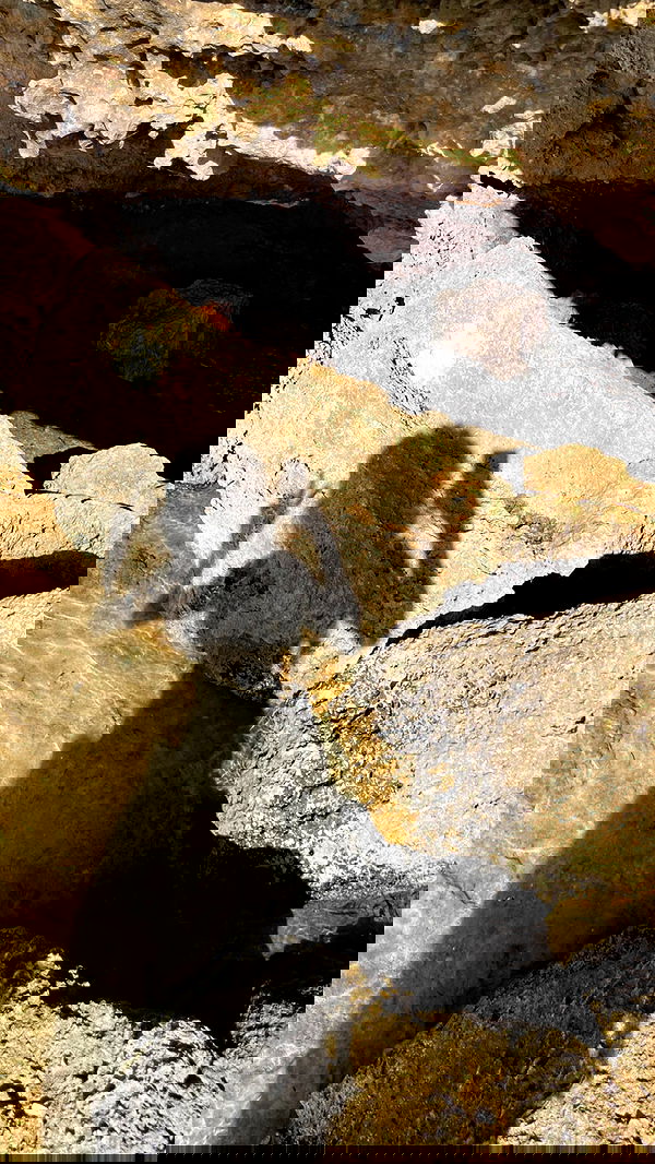 shunli__mei image ~ Altpins