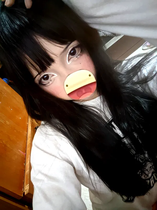 starttles starttles archive image