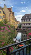 karin_orhov Altpins Profile Picture