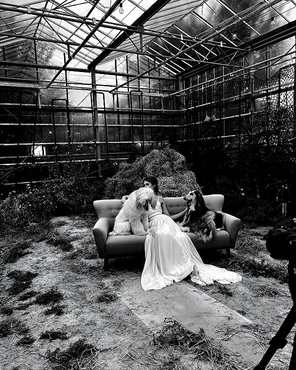 edvarda_ archive image