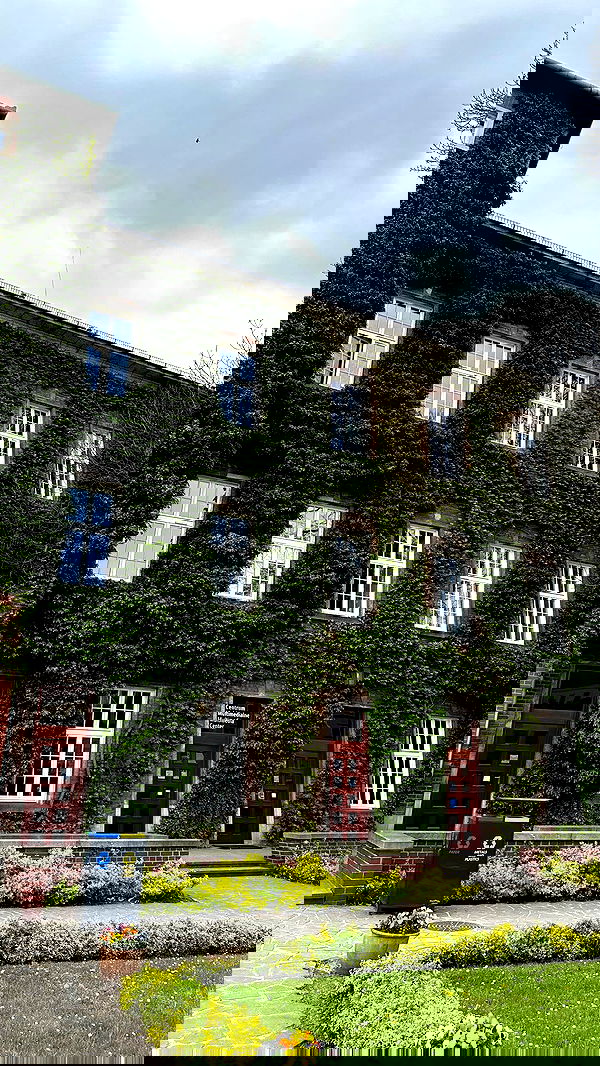 mishel116 mishel116 archive image